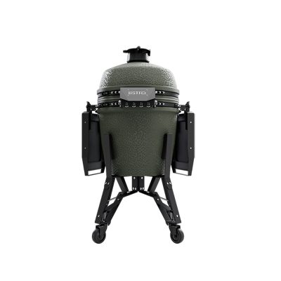 BP301A_Pro_Large_Alpine_Green_back