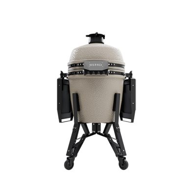 BP301D_Pro_Large_Desert_Sand_back