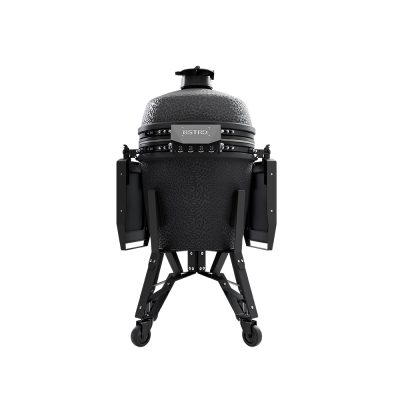 BP301G_Pro_Large_Graphite_back
