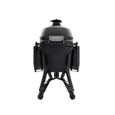 BP301G_Pro_Large_Graphite_back